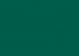 RAL 6036