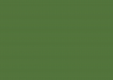 RAL 6025